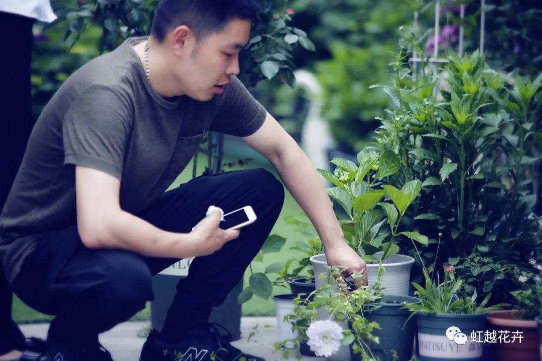 史上最硬核花園主，是怎樣拿下三年繡球比美冠軍的？